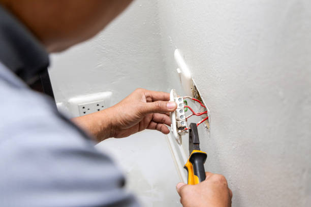 Best Electrical Repair Services  in Frostproof, FL